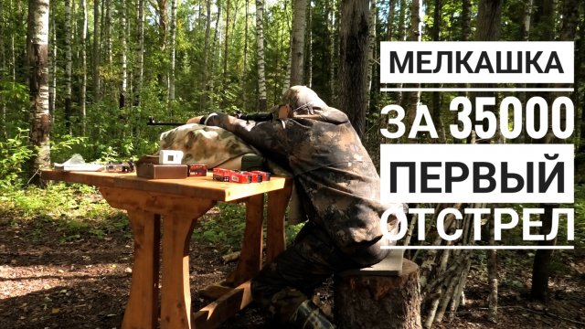 Мелкашка 22лр за 35000! Что она может! ТОЗ-78-04м первый отстрел.