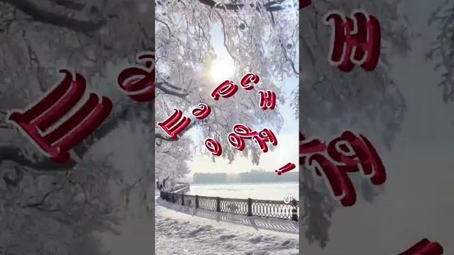 video_4712574752103.mp4