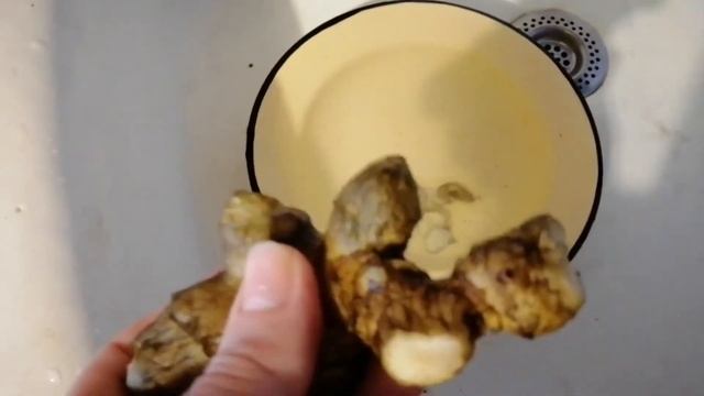 Как использовать топинамбур в повседневной кухне. Свойства топинамбура, очищение от грязи, рецепты