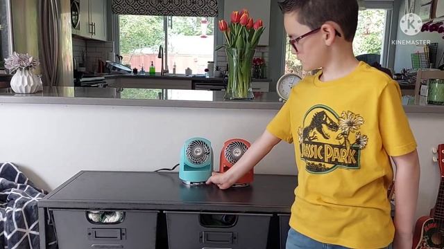 Fan Collection: New Comfort Zone