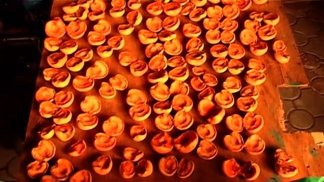 Сушим абрикос в газовой духовке. Часть 1