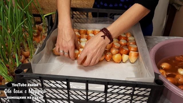 ЛУК НА ЗЕЛЕНОЕ ПЕРО ДВА СПОСОБА ВЫГОНКИ БЕЗ ЗЕМЛИ
