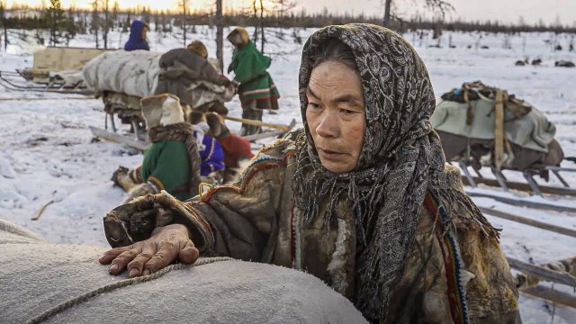 Ненцы, энцы, нганасаны, селькупы. Языки кочевников. История. Жизнь. Культура. Быт | Факты