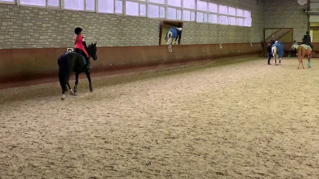 Верховая езда //КОНОБЛОГ// Про МАНЕЖ