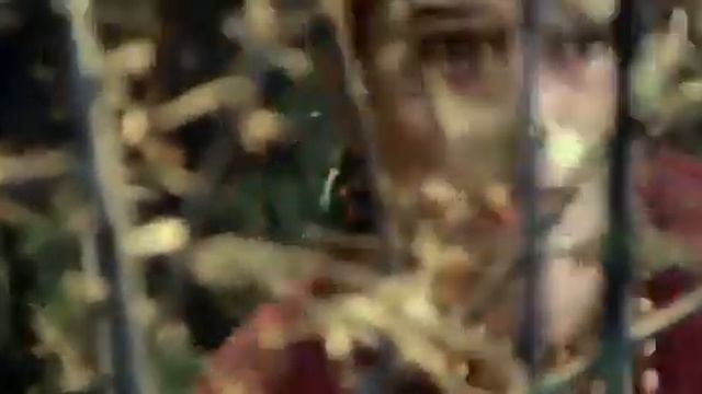 Лучше фильм с Аллу арджун настоящие герой
