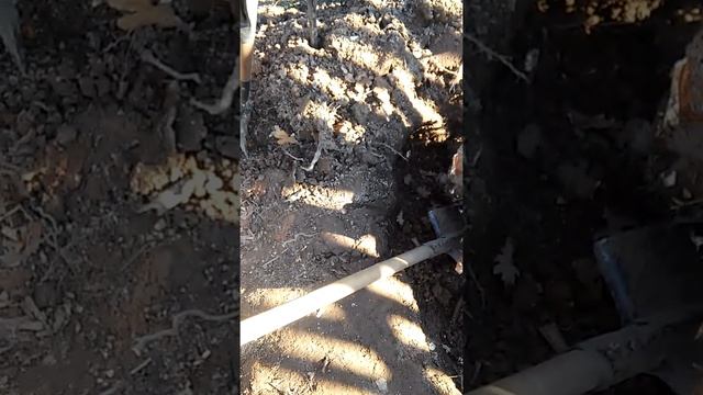 Как выкорчевать быстро,пень спиленной березы