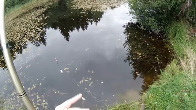 Ловля карасиков в удовольствие ч.3 . Республика Беларусь, Минская область, лето 2013 г.