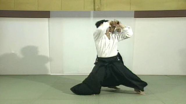 Дайто рю айкидзюцу. Уровень дзюдзюцу