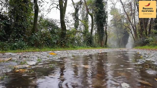 Рассказ мужчины | Измены жены... Жестокая месть мужа. Реальная история