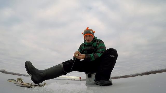 Маропедка 30 мм. Подводная съемка поклевок окуня.