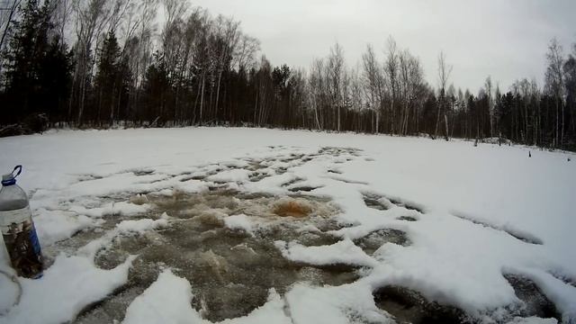 КАК ЛОВИТЬ ЖИВЦА ЗИМОЙ чудо способ