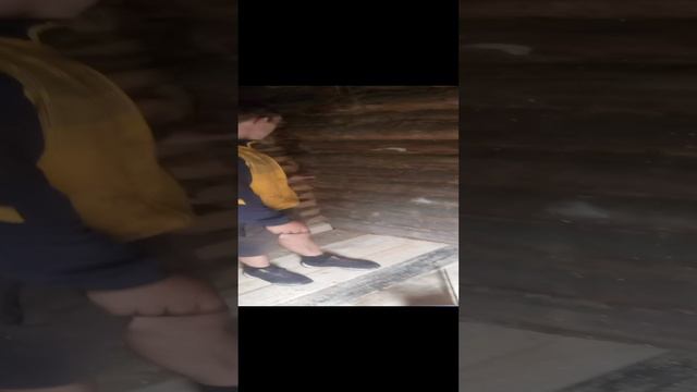 моё семейство