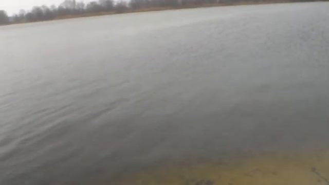 24.02.20. Утренняя прогулка. Приглашаю на зимнее купание и т. д. Евгений Денчик