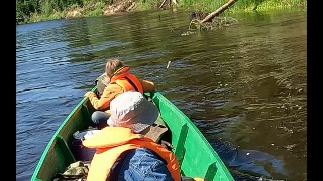 Уха в охотничьей избушке #1 Задача наловить рыбы