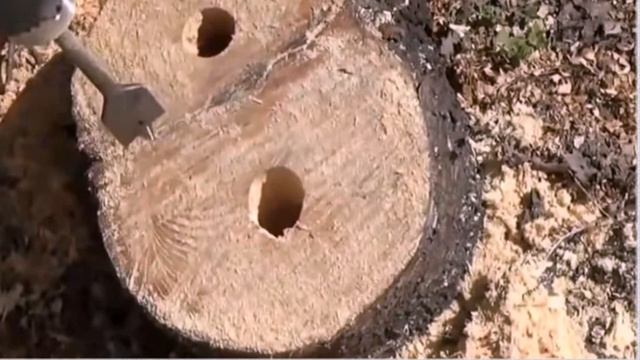 Как легко убрать пень с участка без корчевания?