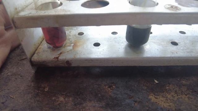 Test Ravenol vmp usvo vs Motul 5w30 !