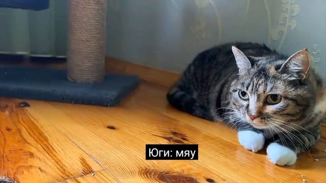 Аня канал а ну-ка давай-ка