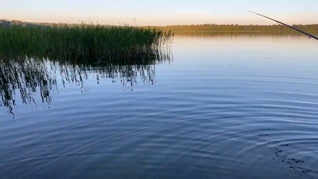 VLOG. Мы на самом чистом озере. Отдых с палатками. Что брать на природу?!