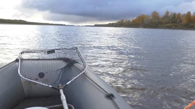 НАСТРОЙКИ для ПОКАЗА РЫБЫ В БОКОВЫХ лучах эхолота  Garmin STRIKER 9SV PLUS и Garmin STRIKER Vivid