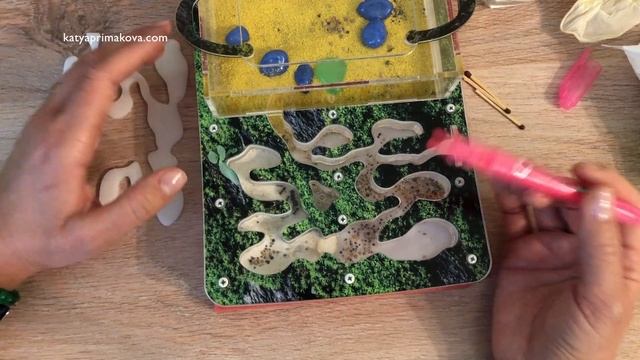 МУРАВЬИ ПОГИБАЮТ, ЧТО ДЕЛАТЬ? КАК ПОЧИСТИТЬ ФОРМИКАРИЙ. КАК ВОССТАНОВИТЬ КОЛОНИЮ.