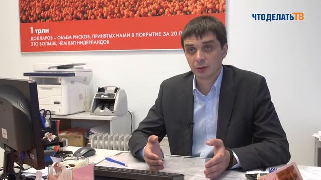 Что делать, если страховая компания задерживает выплаты по ОСАГО?