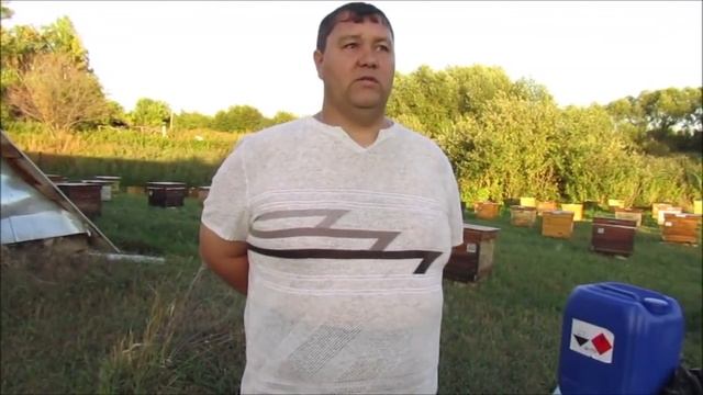 Обработка пчелосемей муравьиной кислотой. Ч.-1