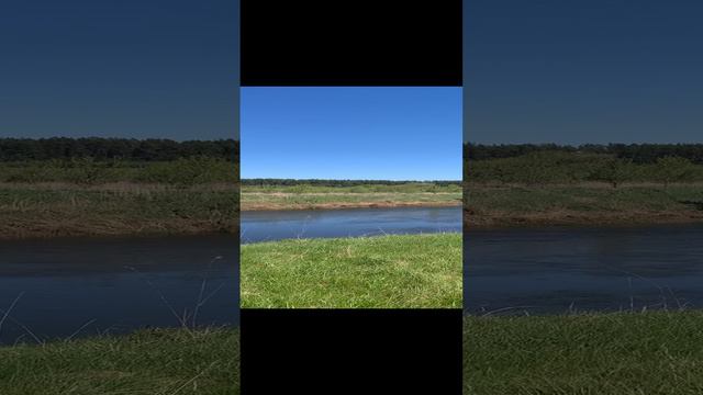 Звуки природы