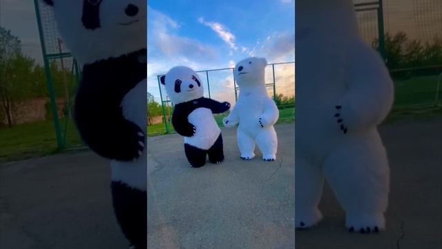 Любит не любит, не гадай на ромашке ? встретилась парочка ❤️??❄️?
