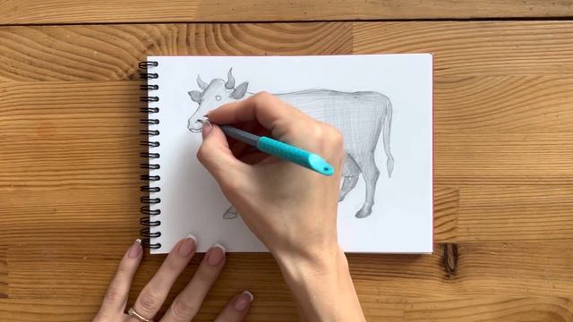 Как нарисовать корову карандашом | Рисунок для начинающих поэтапно