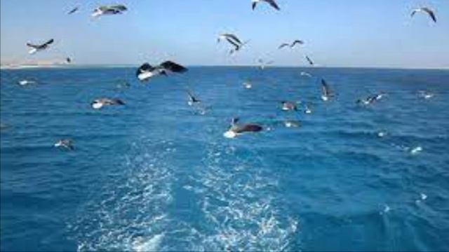 Музыка путешествий - Music for travel - XXVI