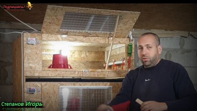 Бройлеры Размеры Брудера Как Самому Сделать Брудер для Бройлеров
