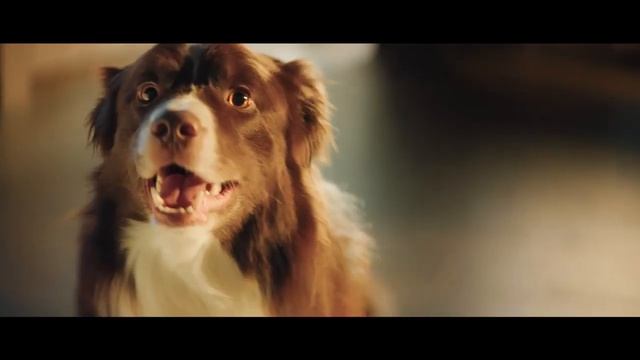 Реклама Ростелеком " Умный дом от Ростелекома "