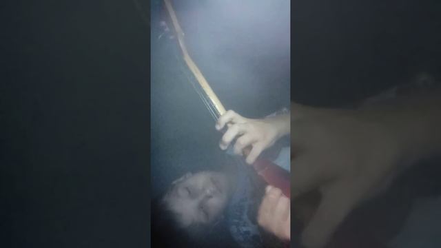 Золотые зёрна кукурузы на балалайке