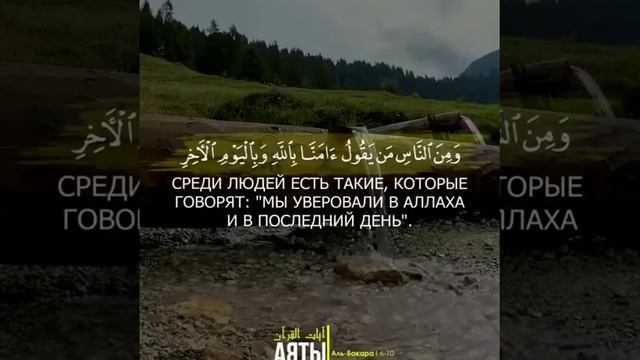 Сура Аль-Бакара аяты 6-10