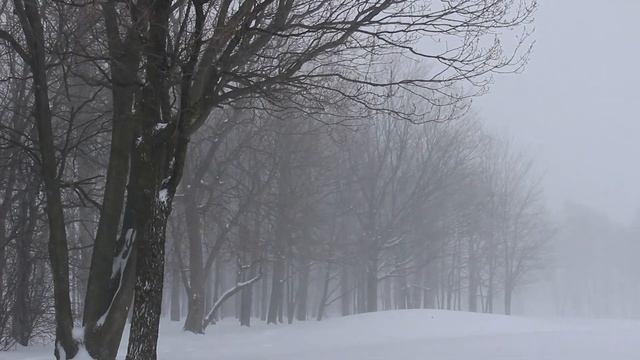 ❄️ЗВУКИ ВЬЮГИ И СИЛЬНАЯ МЕТЕЛЬ С ВОЮЩИМ ВЕТРОМ❄️
