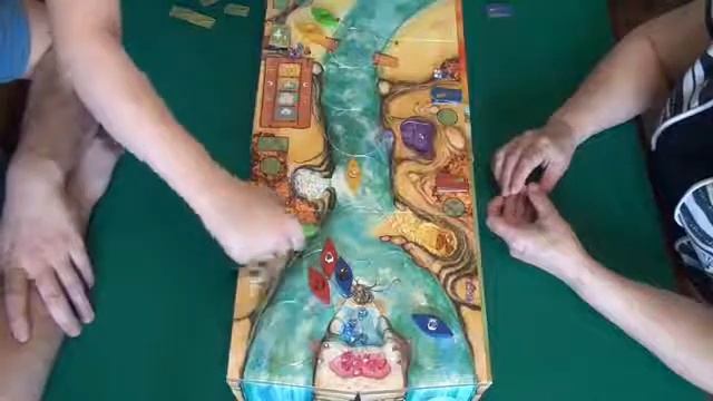 Niagara играем в настольную игру.