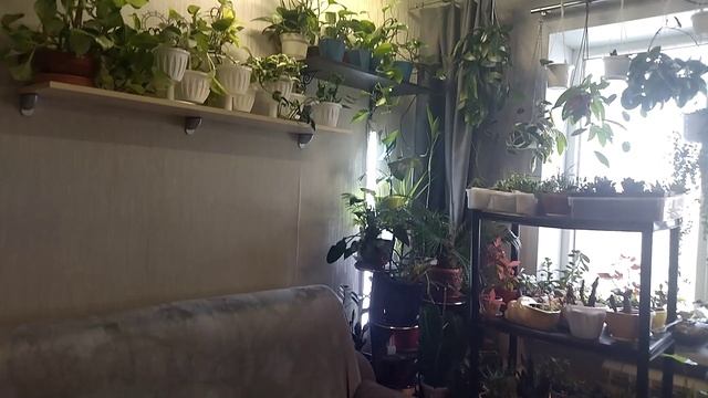 Цветочная комната_2