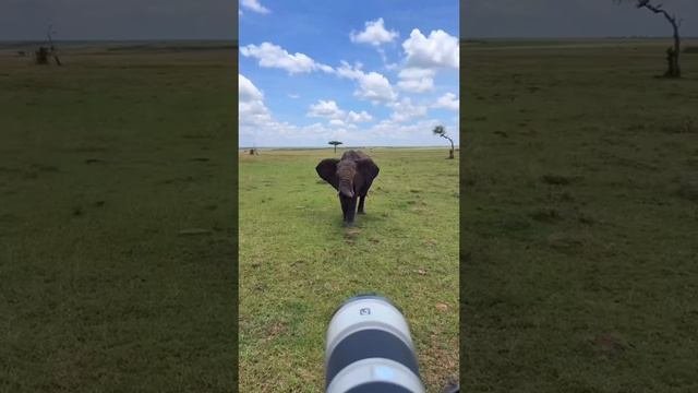 #путешествия