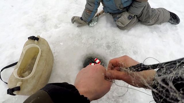 Зима! Проверка Поставушек на Налима! Рыбалка на Косынки, Протока Оби!