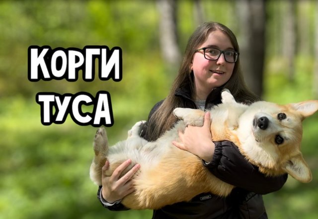 КОРГИ ТУСА В САНКТ-ПЕТЕРБУРГЕ. САМОЕ МИЛОЕ ВИДЕО