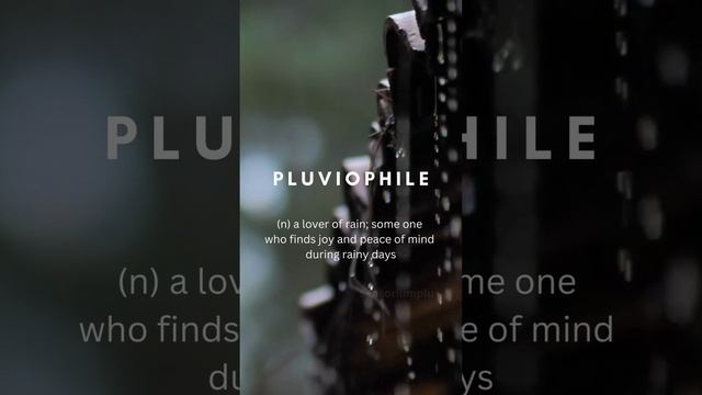 PLUVIOPHILE #english #environment #inspirational #motivation #viral #words