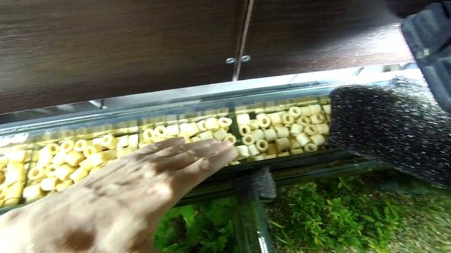 Самодельные внутренние фильтры для аквариума