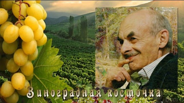 ВИНОГРАДНАЯ КОСТОЧКА / Разбор на гармони по цифрам