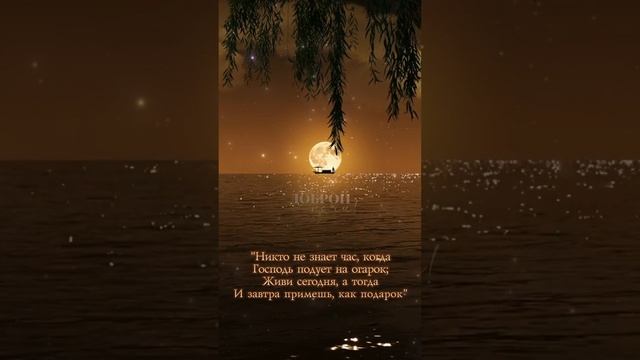 Живи сегодня