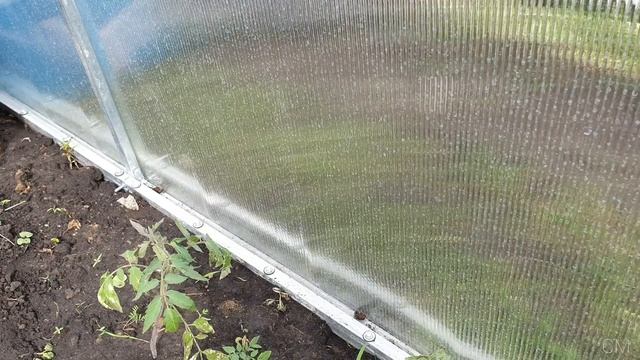 Сборка теплицы 4х3 с основанием шифер. Монтаж теплицы своими руками