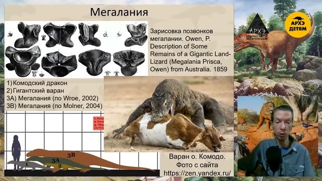 Занятие "Доисторическая Австралия" кружка "Динозавры и не только" с Ярославом Поповым