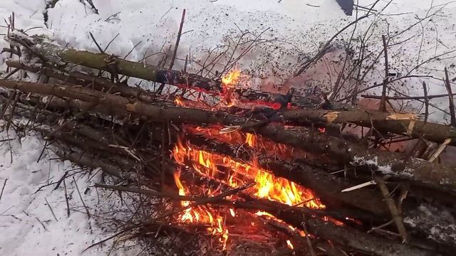 Максим Медведев. Вранье о диких животных