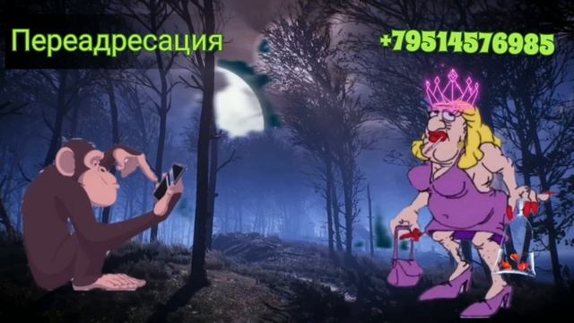 Борщ в вентиляции /КалоТушка / Коллекторы и звонки / Капли тетушки Фиры / Самая Падшая Тетушка