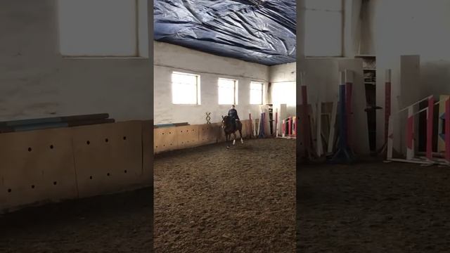 Отрабатываются элементы выездки