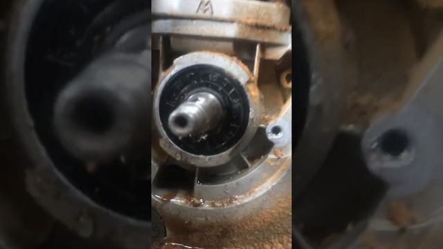 Замена сальников на китайской бензопиле.